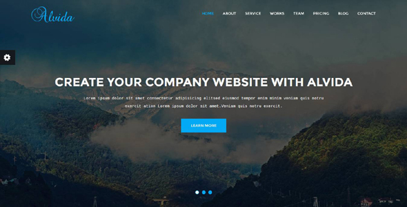 Alvida - One Page Business Template