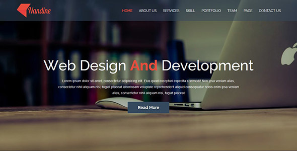 Nandine - Responsive Portfolio And Blog Multipage HTML5 Template