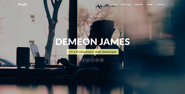 Profi - Personal Portfolio Template
