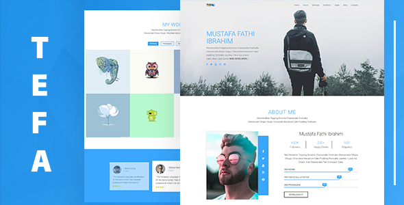 Tefa – One Page Portfolio Template