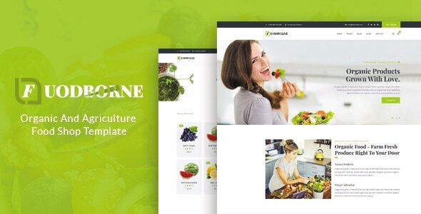 Fuodborne - Organic & Agriculture Food Shop Template